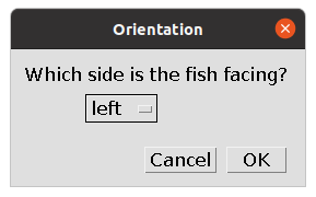 Fish orientation