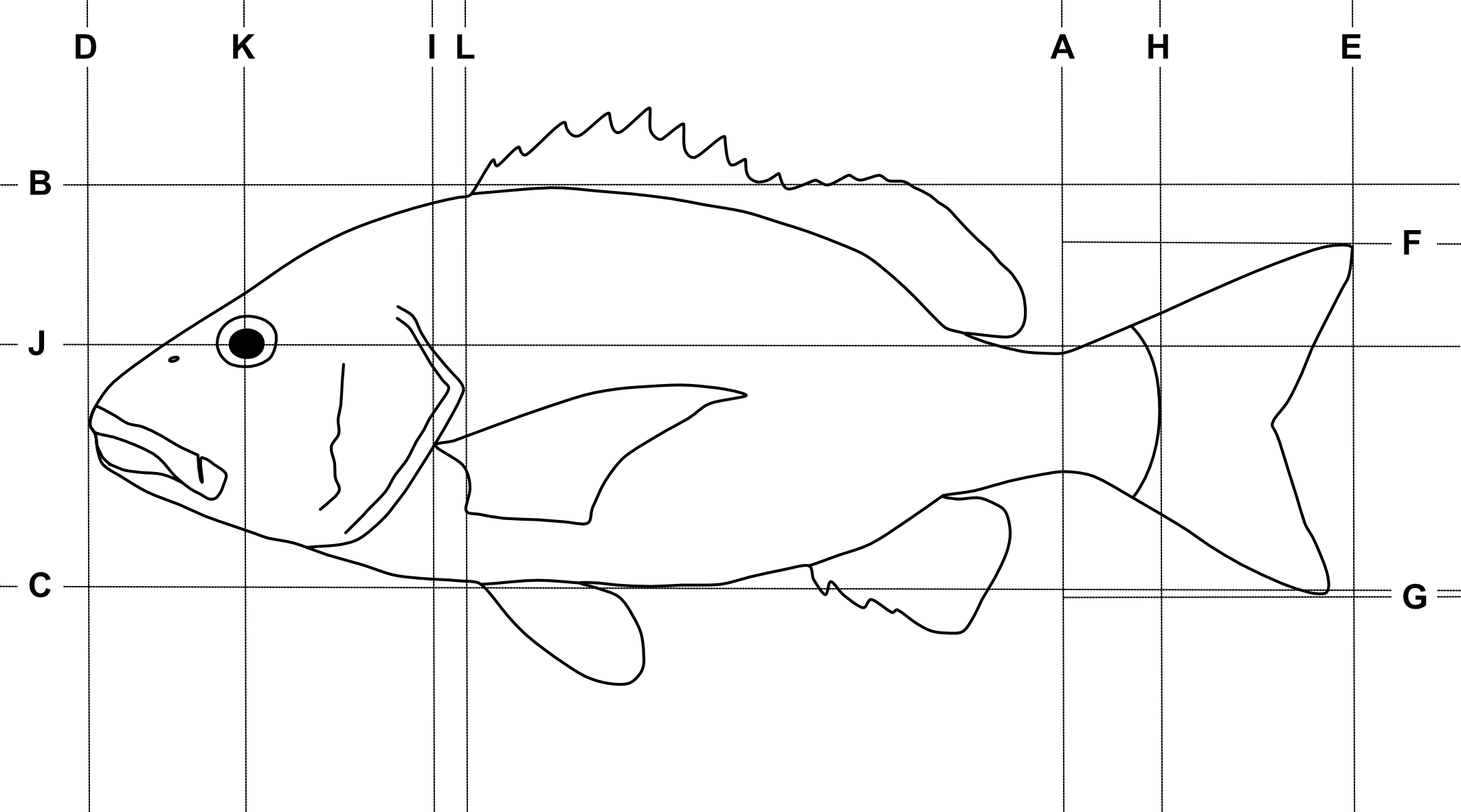 Reference lines for main traits analysis