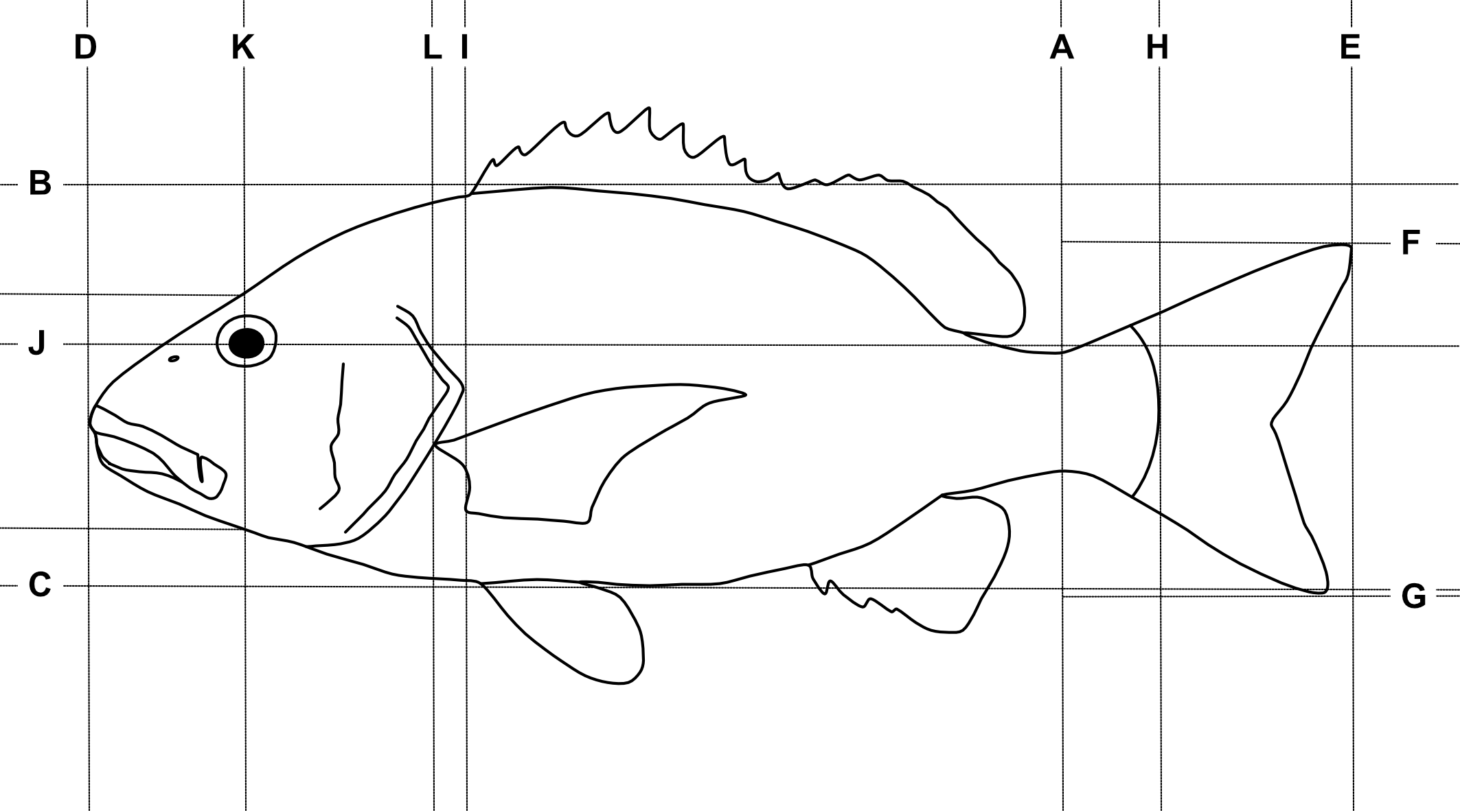 Reference lines for main traits analysis